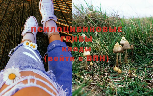 эйфоретик Кулебаки