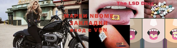ГАЛЛЮЦИНОГЕННЫЕ ГРИБЫ Кукмор