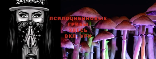 ГАЛЛЮЦИНОГЕННЫЕ ГРИБЫ Кукмор