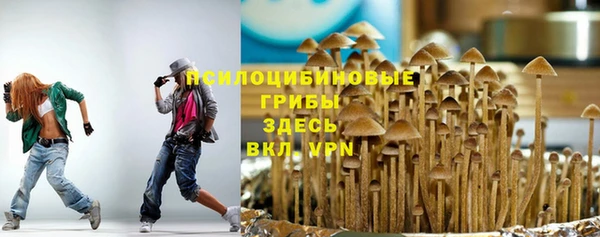 ГАЛЛЮЦИНОГЕННЫЕ ГРИБЫ Кукмор