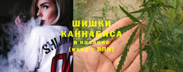 ГАЛЛЮЦИНОГЕННЫЕ ГРИБЫ Кукмор