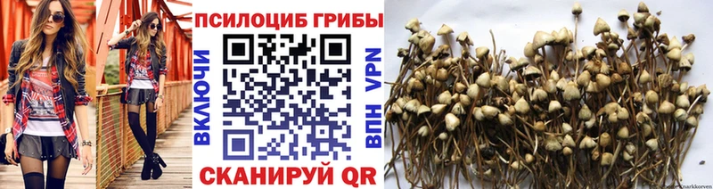 Галлюциногенные грибы Cubensis  Купить  Орёл 